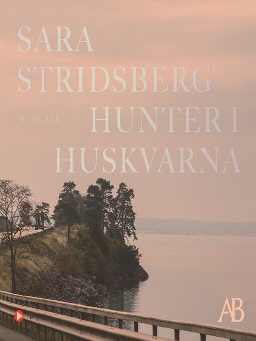 Title details for Hunter i Huskvarna by Lena Endre - Available